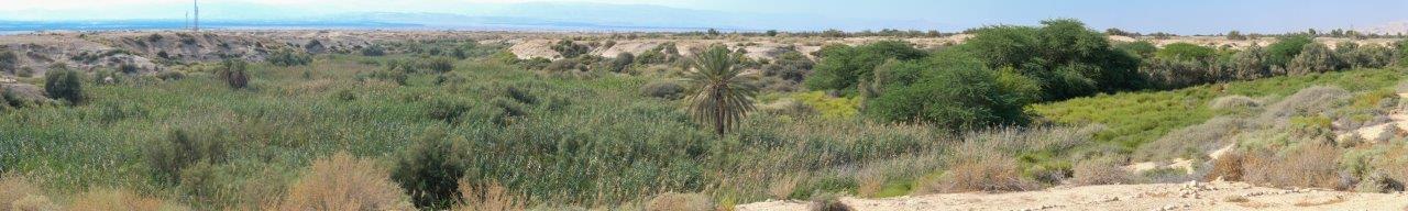 وادي الخرار – برية يوحنا
