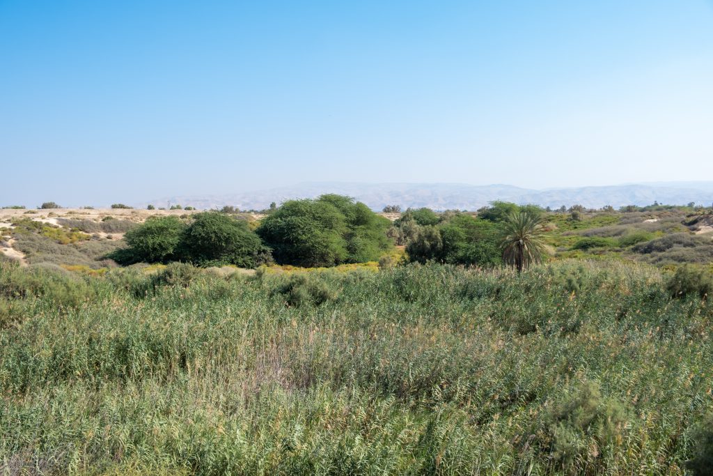 Das Bethanien Saphsaphas 2